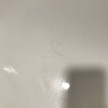 Royal Hotel - Disgusting. - Hotels Near Me - Portree, HLD Royal Hotel - Disgusting. - Hotels Near Me - Portree, HLD