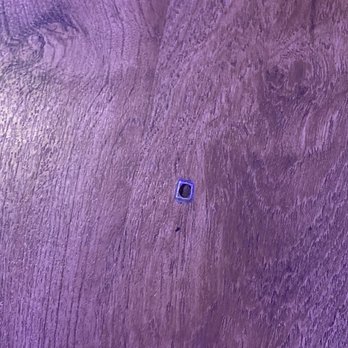 Collegetown Properties - "Newly renovated flooring" - Property Management Near Me - Athens, Georgia
