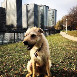 Diego at Lake Michigan on Thanksgiving 2018