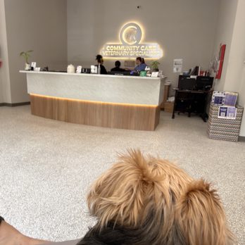 Community Care Veterinary Specialists/ER - Emergency Pet Hospital Near Me - Gainesville, Florida