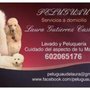 Photo of PeluGuau