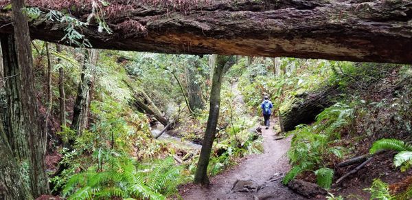 Matt Davis Trail Head by null