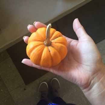 Kapnick Orchards - Bakeries Near Me - Britton, Michigan
