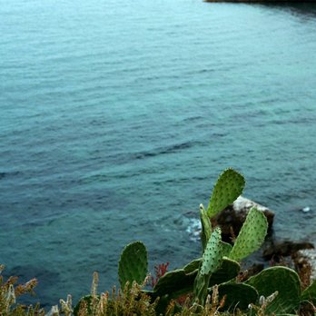Pro Photo Connection - Ibiza cliff, portra 400 - Photography Stores & Services Near Me - Irvine, California Pro Photo Connection - Ibiza cliff, portra 400 - Photography Stores & Services Near Me - Irvine, California