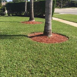 Front yard