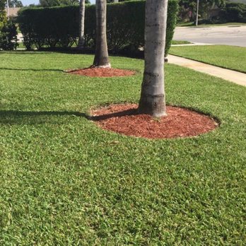 UR Way Lawn Service - Front yard - Tree Services Near Me
