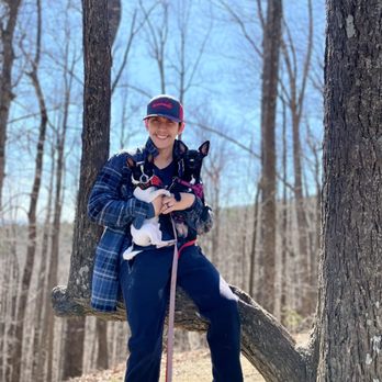 Hanging Rock State Park - Tree on the trail - Parks Near Me - Westfield, North Carolina