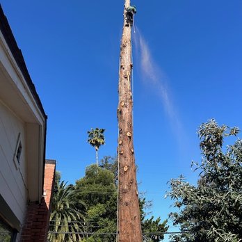 New Life Tree Service - Tree Services Near Me New Life Tree Service - Tree Services Near Me