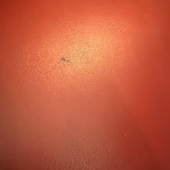 El Torito - food stuck on booth seat :(  I started rubbing it off but said to myself IT SHOULD HAVE BEEN CLEAN B4 I sat down !' - Mexican Near Me - Redondo Beach, California