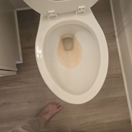 That's a professional cleaned toilet? That's a professional cleaned toilet?