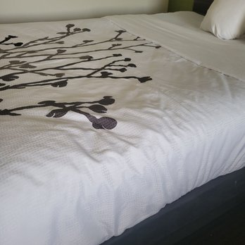 Sleep Inn & Suites - See the butt print in middle of bed? - Hotels Near Me - Oakley, Kansas Sleep Inn & Suites - See the butt print in middle of bed? - Hotels Near Me - Oakley, Kansas