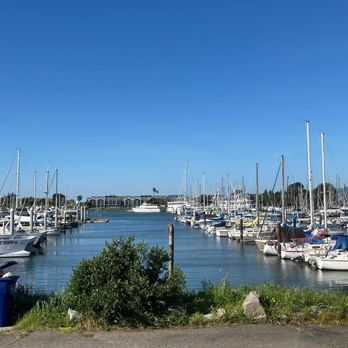 Marina Seafood Dockside Patio - View was so good. - Seafood Near Me - Berkeley, California