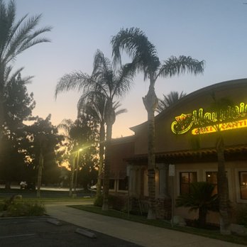 Mauricio's Grill & Cantina - The Palm Trees set the tone for a perfect dining experience! - Mexican Near Me - Bakersfield, California Mauricio's Grill & Cantina - The Palm Trees set the tone for a perfect dining experience! - Mexican Near Me - Bakersfield, California