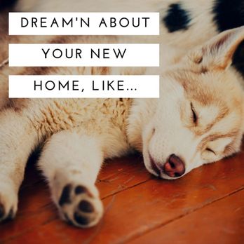 Connie Jurey - House Smart Realty - Real Estate Agents Near Me - Indianapolis, Indiana Connie Jurey - House Smart Realty - Real Estate Agents Near Me - Indianapolis, Indiana