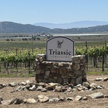 Triassic Vineyards - A sign for Triassic Vineyards is positioned on a stone base in a vineyard setting. The sign features the vineyard's name and a dinosaur illustration, with grapevines and trellises visible behind it. The landscape includes distant mountains and a clear blue sky, indicating a rural, scenic environment suitable for wine production. - Wine Tasting Room Near Me - Tehachapi, California