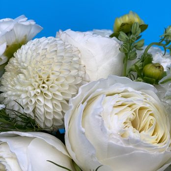 Magical Blooms - Florists Near Me - Redondo Beach, California Magical Blooms - Florists Near Me - Redondo Beach, California