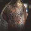 Freedom Ink Tattoo gift card