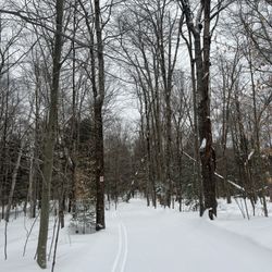 Wild Wings Ski Touring Center - Perfectly groomed trail after fresh snow just waiting for your memories & adventures