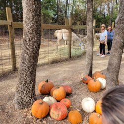 Blase Family Farm