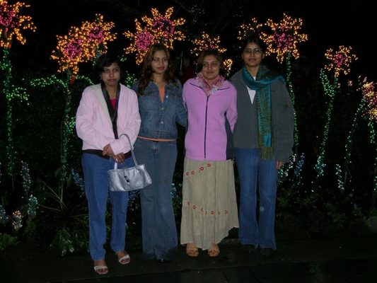 Garden d’Lights by null