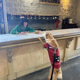 the best spot! the best spot!