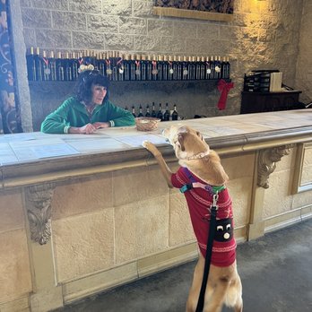 Baily Vineyard & Winery - the best spot! - Wineries Near Me - Temecula, California Baily Vineyard & Winery - the best spot! - Wineries Near Me - Temecula, California