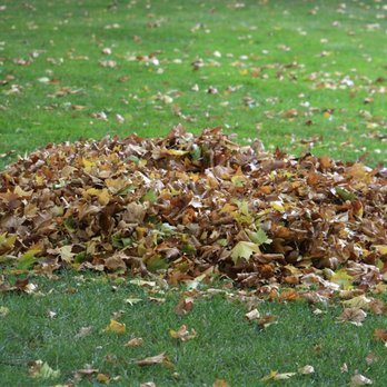Integra lawns - Leaf Clean ups - Landscaping Near Me - Crowley, Texas Integra lawns - Leaf Clean ups - Landscaping Near Me - Crowley, Texas
