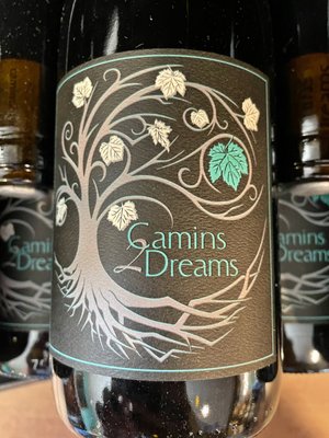 Camins 2 Dreams by null