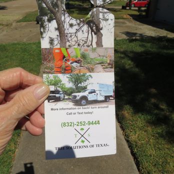 Tree Solutions of Texas - Tree Services Near Me - Pasadena, Texas Tree Solutions of Texas - Tree Services Near Me - Pasadena, Texas
