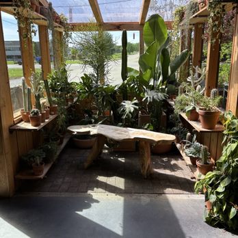 Sage Garden Cafe - Sage garden - Cafes Near Me - Frankfort, Kentucky Sage Garden Cafe - Sage garden - Cafes Near Me - Frankfort, Kentucky