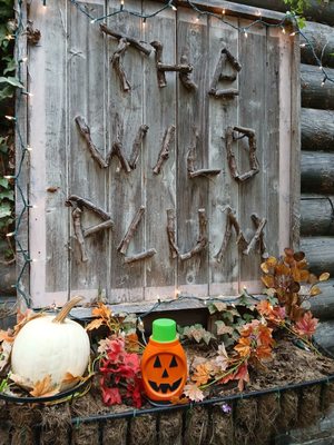 Wild Plum Tea Room by null