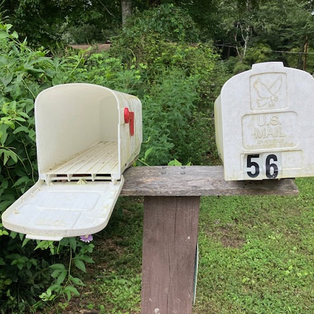 Lee Cress - cheap mailboxes - Tree Services Near Me Lee Cress - cheap mailboxes - Tree Services Near Me