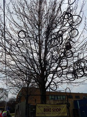 Blackstone Bicycle Works by null