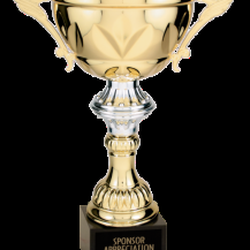 Gold Star Awards and Engraving - Award Cup