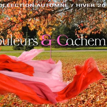 Couleurs & Cachemire - Accessories Near Me - Paris, 75 Couleurs & Cachemire - Accessories Near Me - Paris, 75