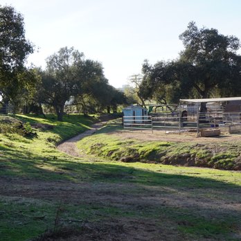 Rolling Hills Boarding Stables - Creekside - Horse Boarding Near Me - Poway, California