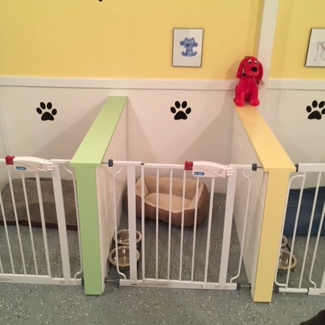 Paws and Reflect Pet Resort - pet boarding facility in Elgin, SC