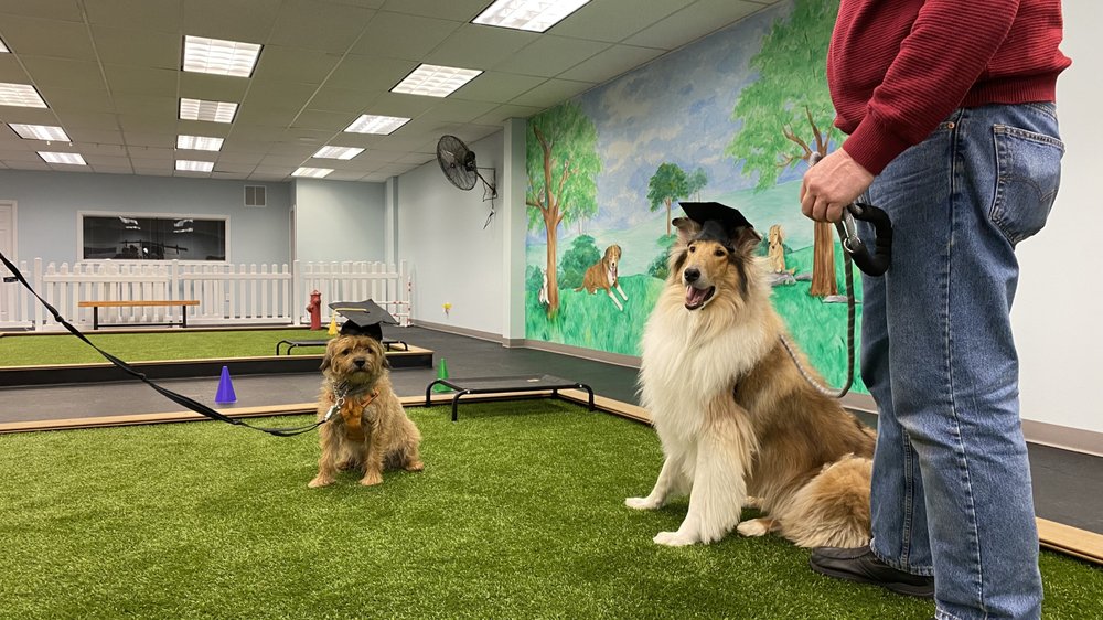 PAWSESSIONS Updated August 2024 51 Broadway, Greenlawn, New York