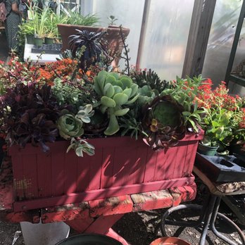 Nelson's Greenhouse - Nurseries & Gardening Near Me - Canoga Park, California Nelson's Greenhouse - Nurseries & Gardening Near Me - Canoga Park, California