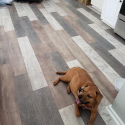 Home Outlet - Ripley loves the Heritage Farm House floor
