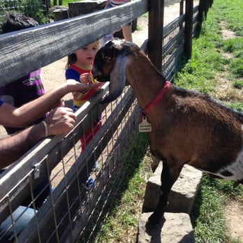 Collingwood Children's Farm - Venues & Event Spaces Near Me - Abbotsford, VIC Collingwood Children's Farm - Venues & Event Spaces Near Me - Abbotsford, VIC