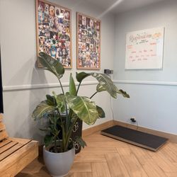 Arcadia Animal Hospital - scale