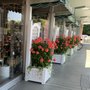 Photo of Peachtree Place