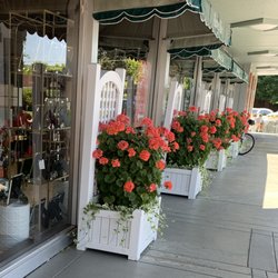 Peachtree Place - Our iconic hydrangea at our store front