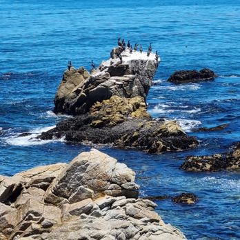 Bird Rock - Beaches Near Me - Pebble Beach, California
