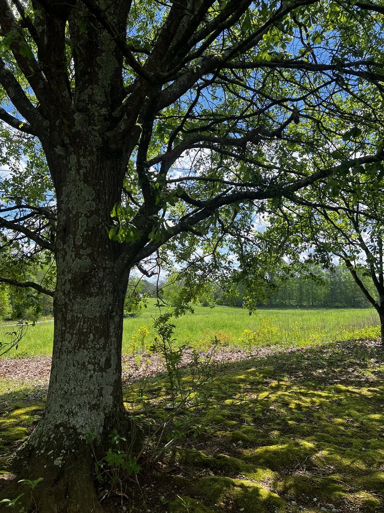 THE RIVER’S EDGE Updated September 2024 12 Reviews 2311 Pulliam Mill Rd NW, Dewy Rose