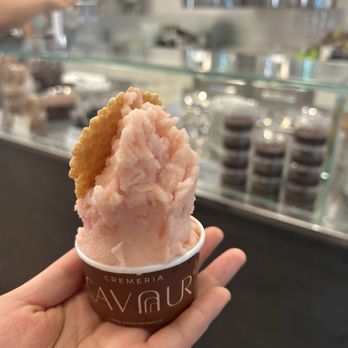 Cremeria Cavour - pompelmo gelato - Ice Cream & Frozen Yogurt Near Me - Bologna, BO Cremeria Cavour - pompelmo gelato - Ice Cream & Frozen Yogurt Near Me - Bologna, BO