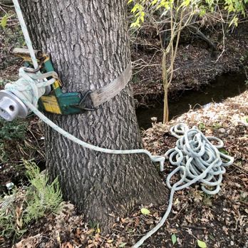 Excel Tree Service - Rigging expert - Tree Services Near Me Excel Tree Service - Rigging expert - Tree Services Near Me