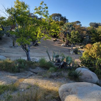 Kate O Sessions Cactus Garden - Parks Near Me - San Diego, California Kate O Sessions Cactus Garden - Parks Near Me - San Diego, California
