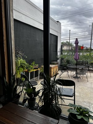 Native Coffee by null